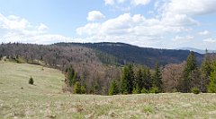 162_TZ60_P1100928_cr