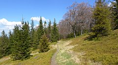 163_TZ60_P1100929_cr