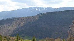 182_TZ60_P1100952_cr