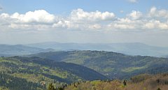 189_TZ60_P1100968_cr