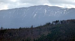 195_TZ60_P1100982_cr