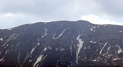 196_TZ60_P1100983_cr