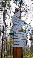 206_TZ60_P1100993_cr