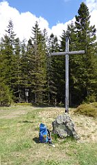 210_TZ60_P1100997_cr