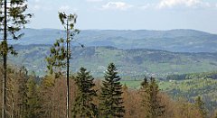 242_TZ60_P1110039_cr