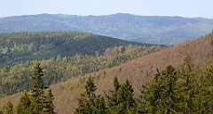 244_TZ60_P1110043_cr