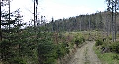 250_TZ60_P1110050_cr