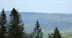 265_TZ60_P1110065_cr