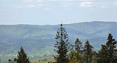 266_TZ60_P1110067_cr