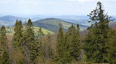 275_TZ60_P1110082_cr