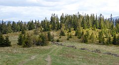 292_TZ60_P1110099_cr