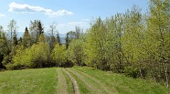 325_TZ60_P1110138_cr