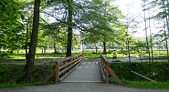 042_TZ60_P1110216_cr