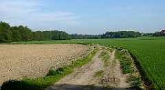 049_TZ60_P1110223_cr