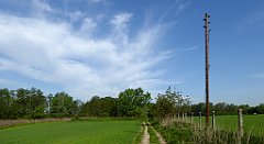 051_TZ60_P1110224_cr