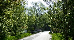 052_TZ60_P1110225_cr