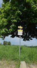 070_TZ60_P1110242_cr