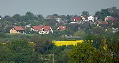 096_TZ60_P1110269_cr