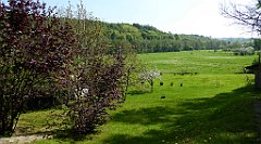 118_TZ60_P1110291_cr