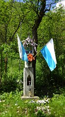 134_TZ60_P1110307_cr