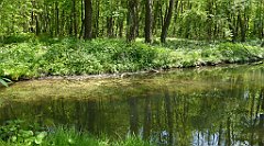 143_TZ60_P1110315_cr