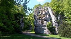 223_A806_IMG_20160511_121913_cr