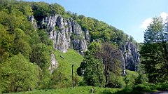 225_A806_IMG_20160511_121937_cr