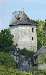 251_TZ60_P1110339_cr