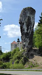 363_TZ60_P1110352_cr