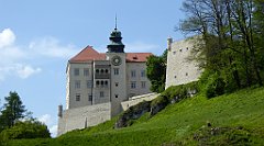 368_TZ60_P1110356_cr