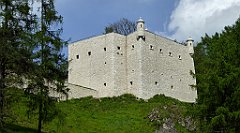 390_TZ60_P1110364_cr