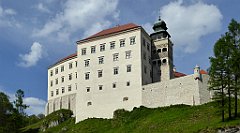 391_TZ60_P1110365_cr