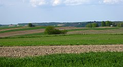 439_TZ60_P1110380_cr