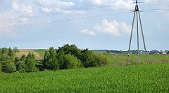 455_TZ60_P1110396_cr