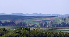 464_TZ60_P1110405_cr