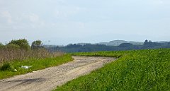 478_TZ60_P1110419_cr