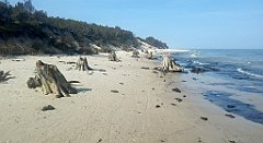 170_A806_IMG_20160529_085921_cr