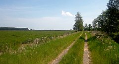 363_A806_IMG_20160529_122749_cr