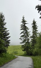 0025a_TZ60_P1110554_cr