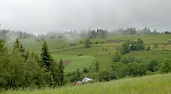 0031_TZ60_P1110555_cr