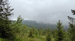 0168a_TZ60_P1110583_cr