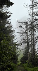 0216a_TZ60_P1110586_cr