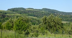 0058_TZ60_P1110644_cr