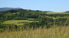 0087_TZ60_P1110674_cr