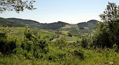 0128a_TZ60_P1110710_cr