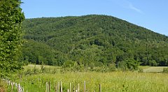 0141_TZ60_P1110712_cr