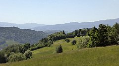 0171_TZ60_P1110751_cr