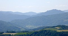 0200_TZ60_P1110777_cr