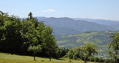 0205_TZ60_P1110782_cr