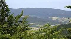 0219_TZ60_P1110789_cr